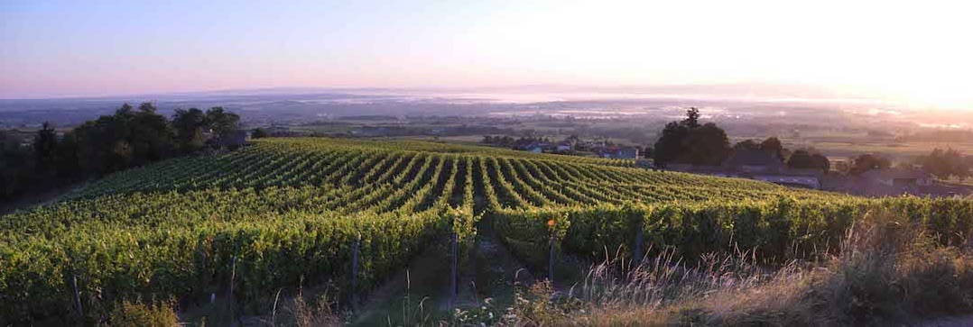Domaine de la Rochette