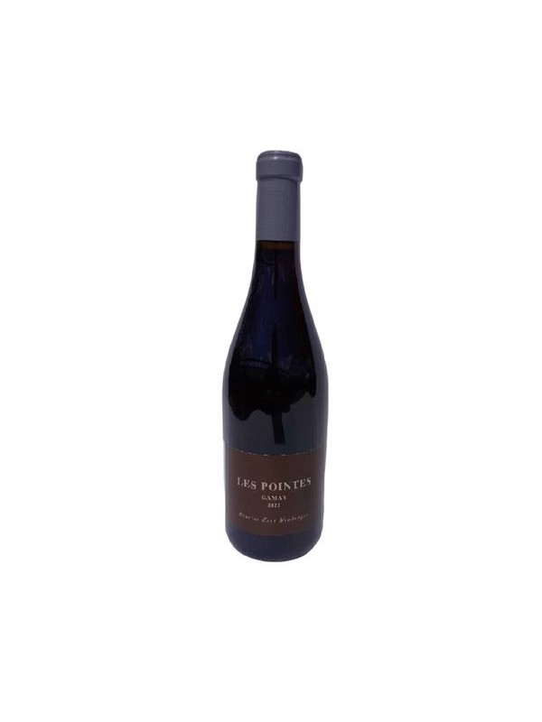 Les Pointes 2023 — DOMAINE JEAN WAMBERGUE